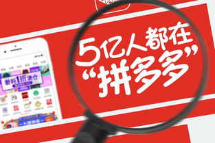 福建易通 5亿人都在用的拼多多,也开始直播卖货